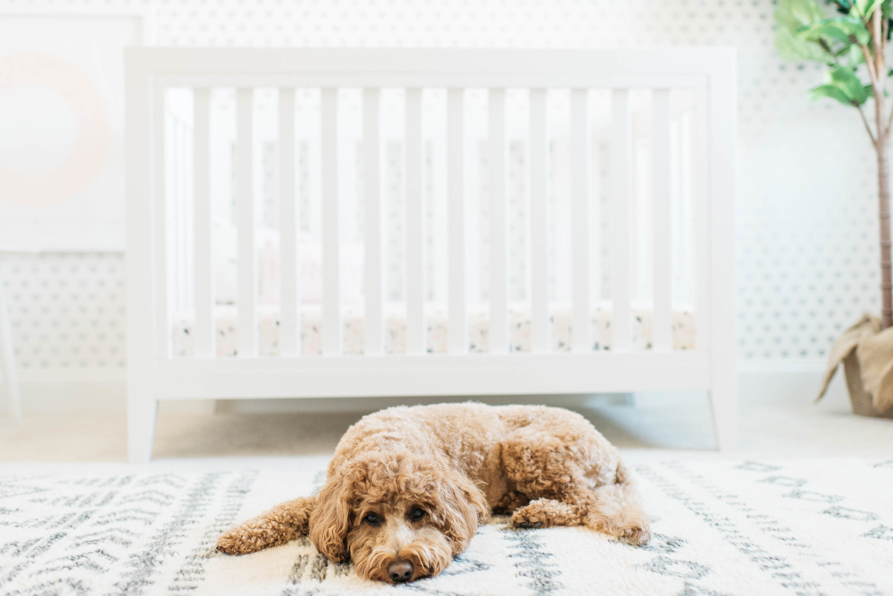 SAVE this post ASAP for the best nursery inspiration. Motherhood and Lifestyle Blogger Meghan Basinger shares a look into her baby girls XO nursery. 