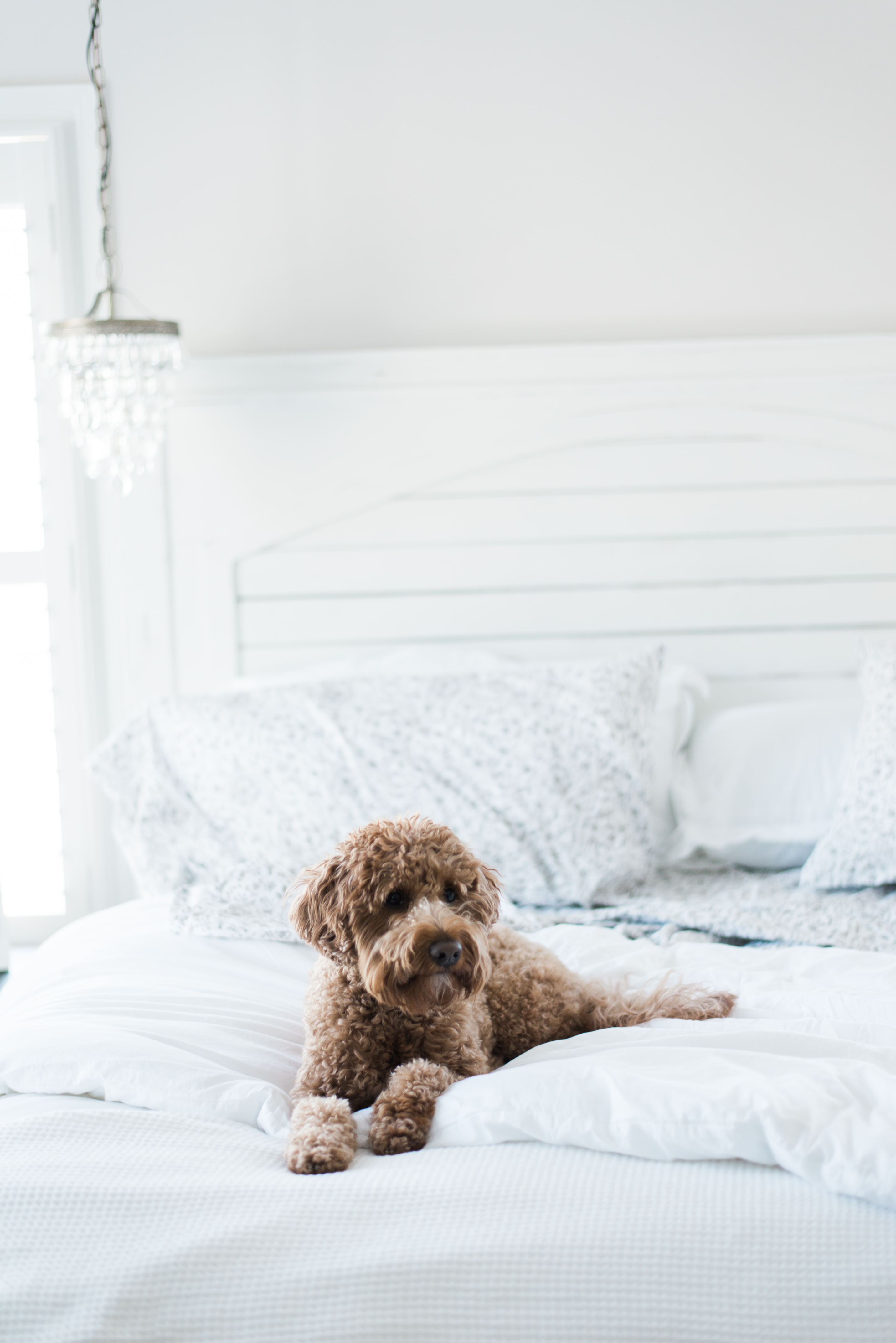Need a bit of master bedroom design inspiration? Motherhood and Lifestyle Blogger Meghan Basinger is sharing her latest reveal of her master bedroom and how she created this stunning space!